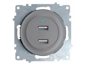 Розетка USB двойная, с подсветкой, цвет серый